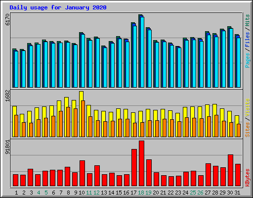 Daily usage for January 2020
