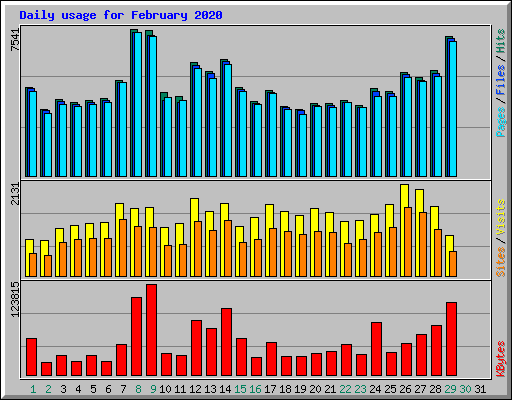Daily usage for February 2020