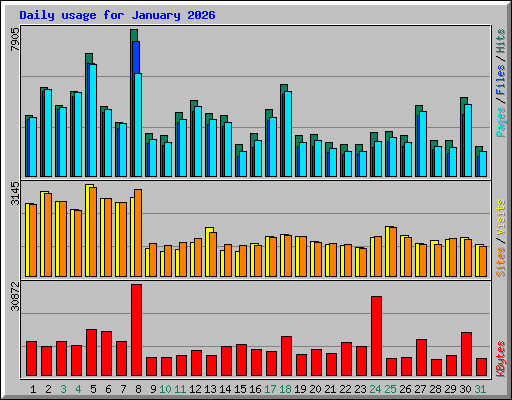 Daily usage for January 2026