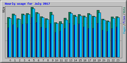Hourly usage for July 2017