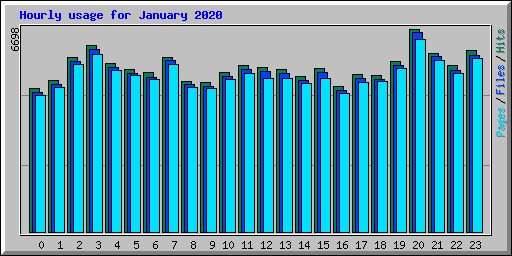 Hourly usage for January 2020