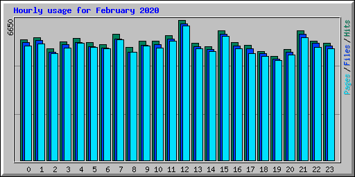 Hourly usage for February 2020