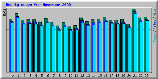 Hourly usage for November 2020