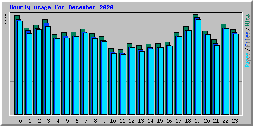 Hourly usage for December 2020