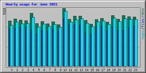 Hourly usage for June 2021
