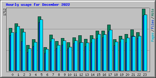 Hourly usage for December 2022