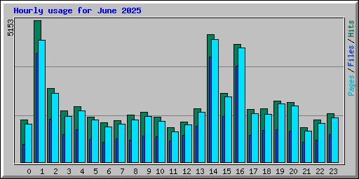 Hourly usage for June 2025