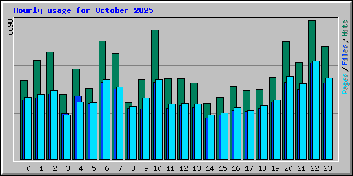 Hourly usage for October 2025