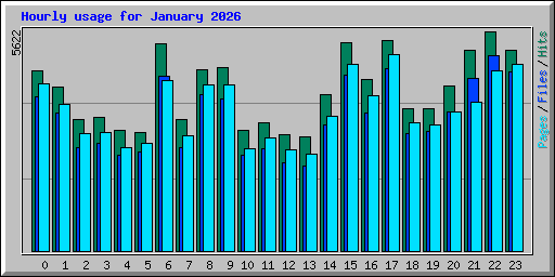Hourly usage for January 2026