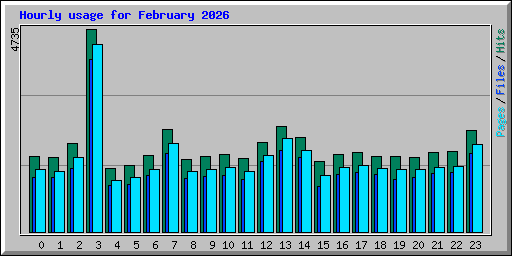 Hourly usage for February 2026
